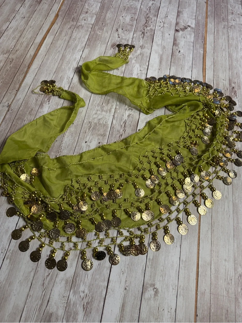 Green Coin Fringe Belly Dance Hip Scarf - Picture 3 of 6